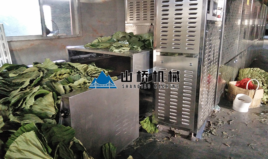 荷葉微波烘干機(jī)(圖1)