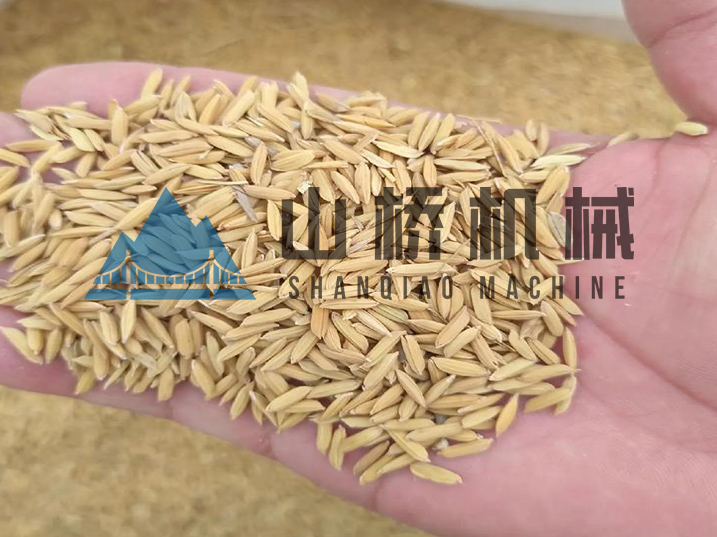 守護(hù)糧安：現(xiàn)代化稻谷烘干工藝解析(圖1)