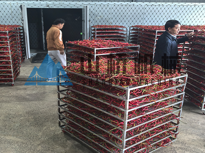 因“椒”制宜：解析不同品類(lèi)辣椒的差異化烘干工藝(圖1)
